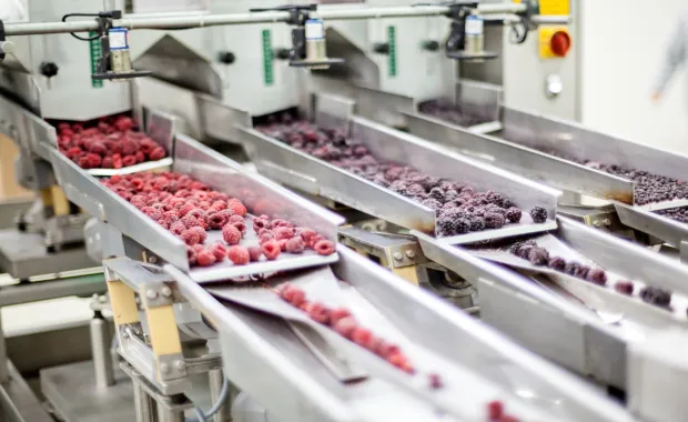 Gefrorene Beeren auf einem Förderband in einer modernen Lebensmittelproduktion.