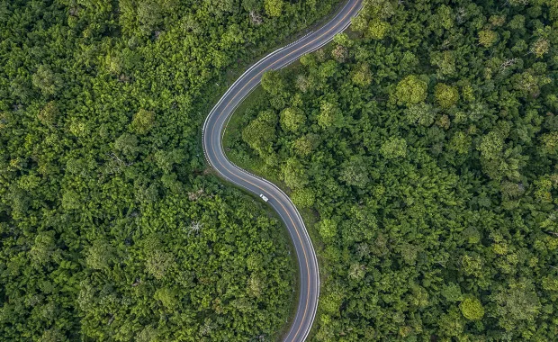 Eine Straße führt durch einen Wald