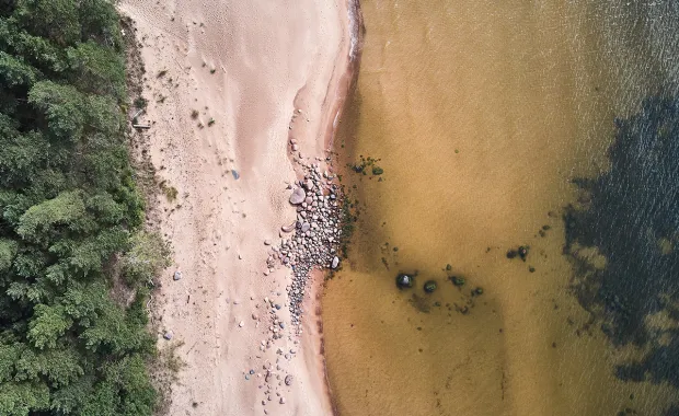 Aerial view of a river estuary showing beaches and surrounding ecosystem