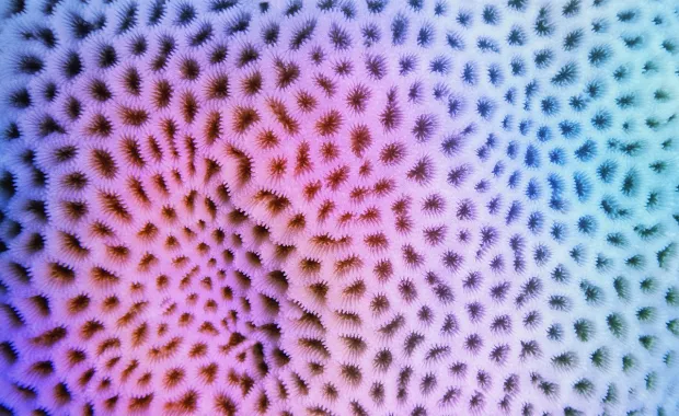 Crochet abstract view