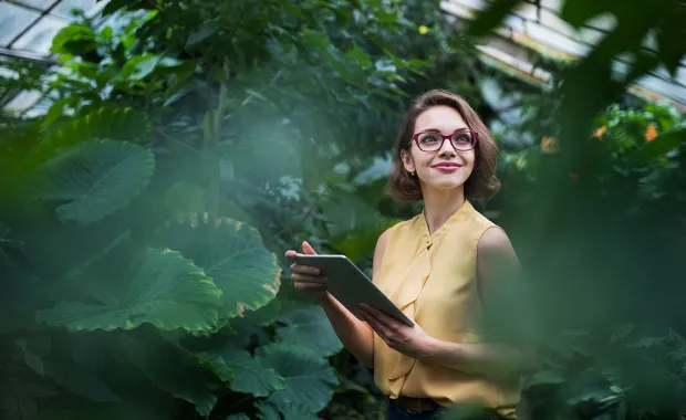 Person with tablet looking at plants in a greenhouse
