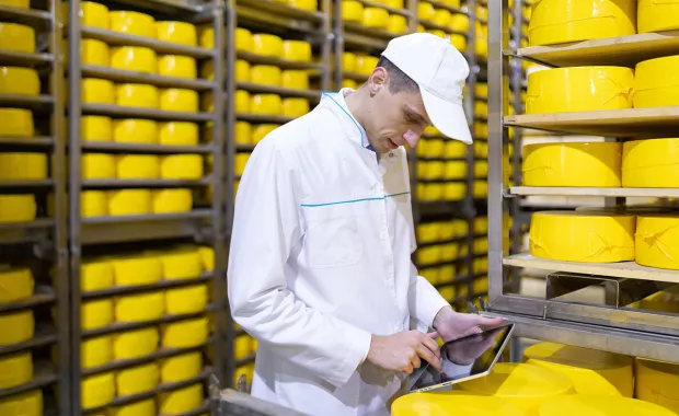 Data, supply chain ecosystems, and the Great Cheese Crisis of 2022