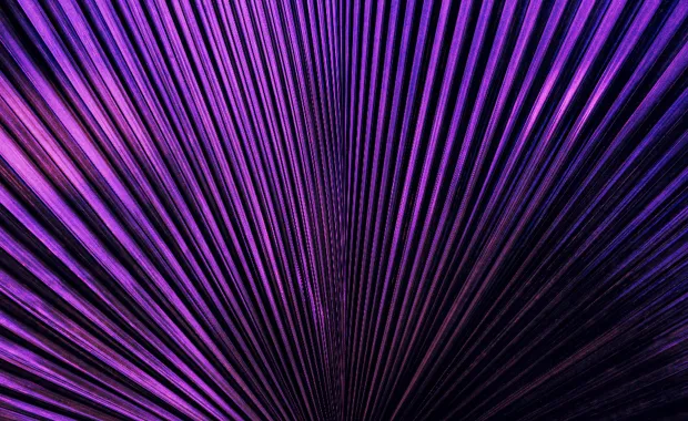 Abstract image of purple leaf