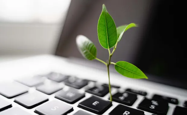 Grüne Pflanze wächst aus einer Tastatur