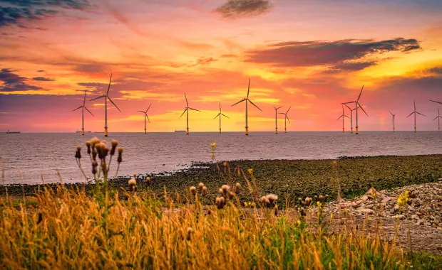offshore wind turbines at sunset viewed from a field