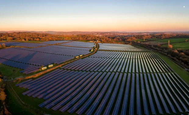 solar farm at sunset