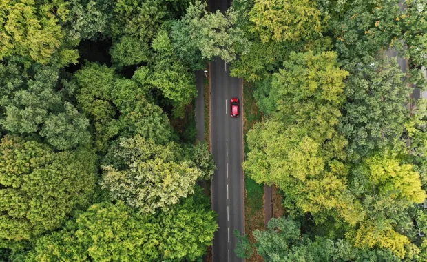 Autoroute avec une voiture rouge traversant une forêt