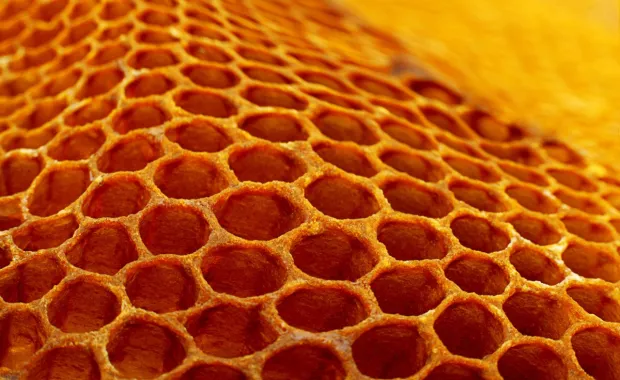 Honeycomb