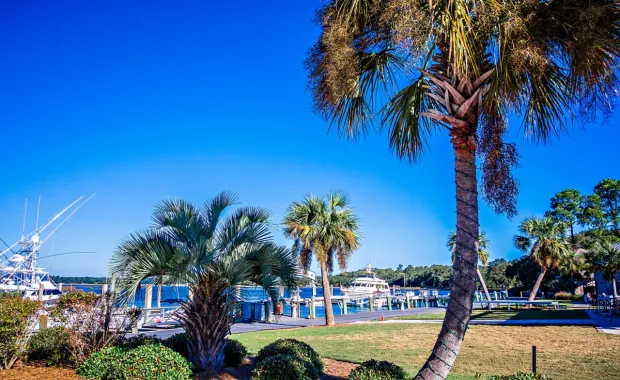 View of a boat marina and palm trees on Kiawah Island, SC