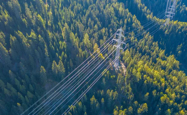 Strømnett i skogslandskap