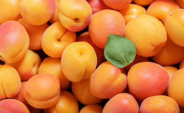 Webinaarissa 13.1. etsimme keinoja siihen, mistä säästöjä ja tehokkuutta julkishallintoon.