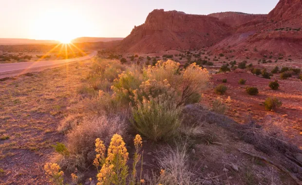 New Mexico highway