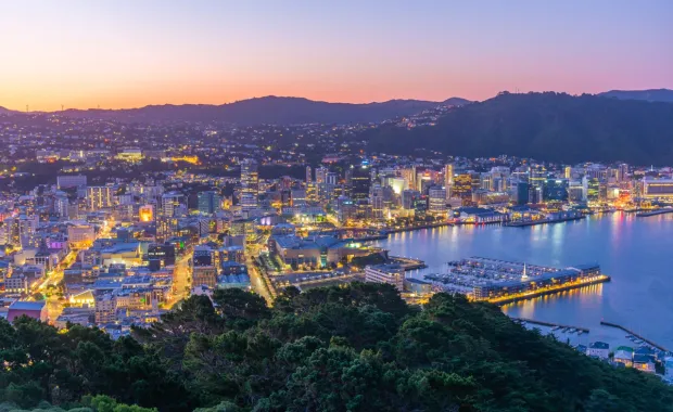 New Zealand landscape 