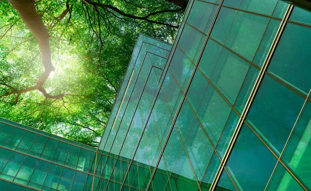 green forest reflected in a glass office building
