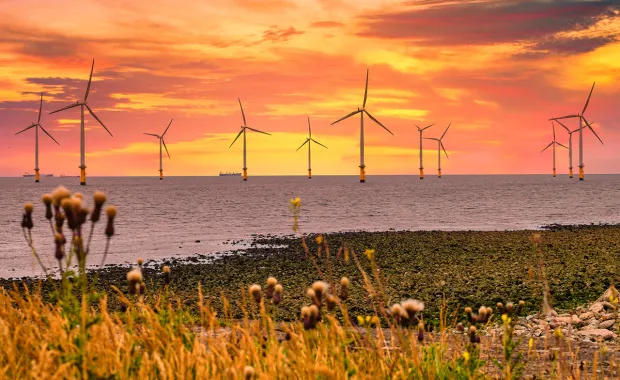 offshore wind turbines at sunset