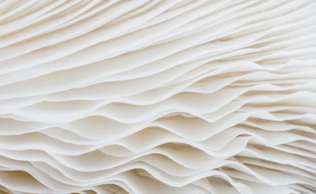 Paper stack closeup abstract