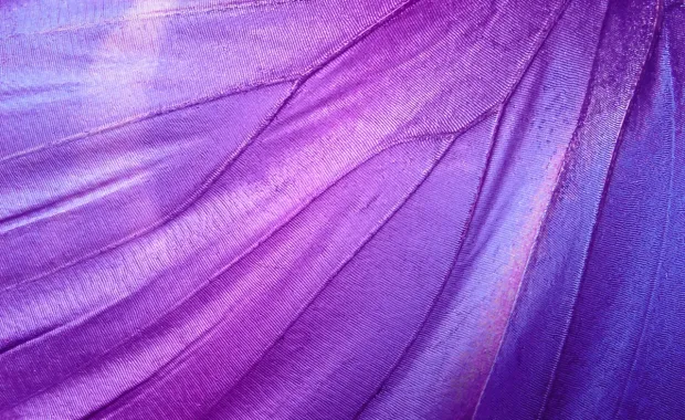 Results from day one: Strategisten kumppanuuksien uusi aikakausi