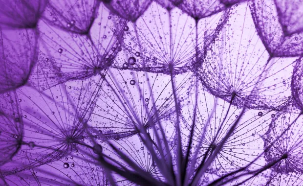 AI Reasoning Risk: het nieuwe risico dat CIO’s nog niet op hun radar hebben