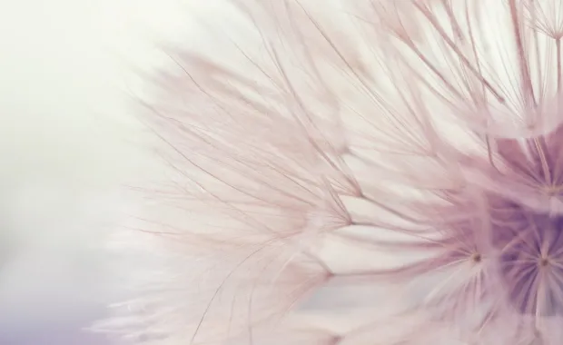 Optimisation, IA générative et informatique quantique