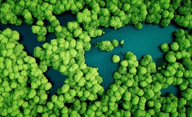 Rainforest_158954569