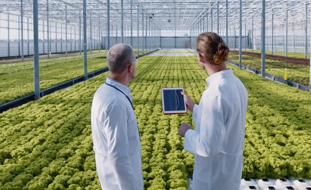Researchers overlooking crops and tablet