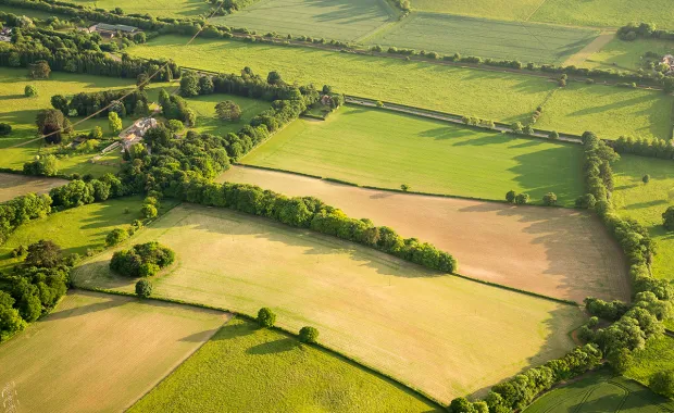 Rural landscape in Wales