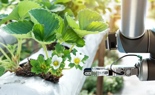 Farm using smart farming automation robot in greenhouse
