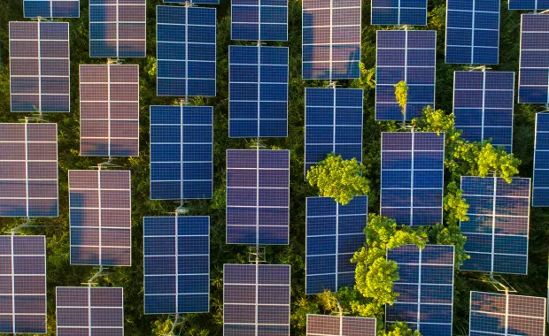Draufsicht auf Solarmodule in einem Solarpark mit grünen Bäumen