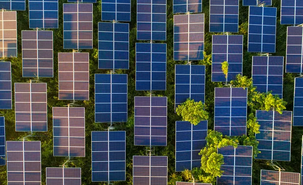 Aerial view of solar panel farm in a forest