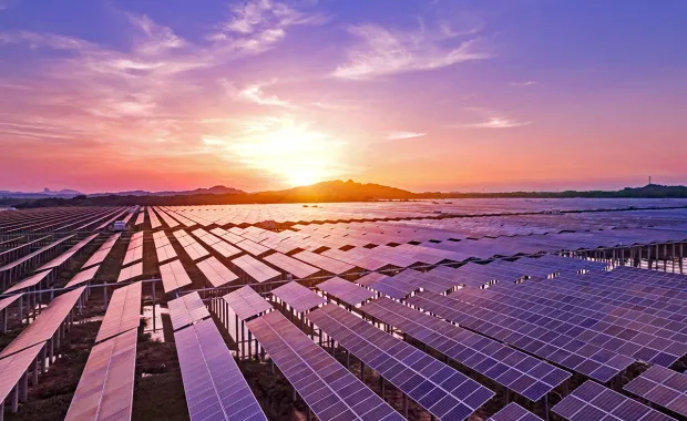 solar farm at sunset