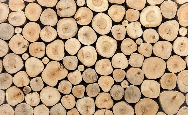 Närbild av staplade trästockar i olika storlekar, sedda framifrån och bildar ett mönster.