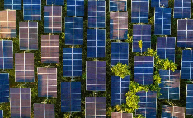 Supporting a leading North American financial institution in reducing its IT carbon footprint