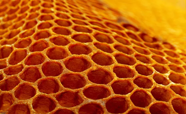 rayon de miel jaune