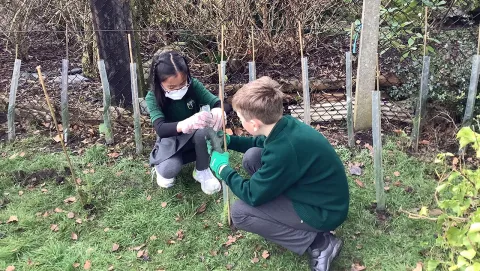 Two primary children in school uniform and PPE planting trees