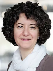 Parisa Eslambolchilar (PhD)