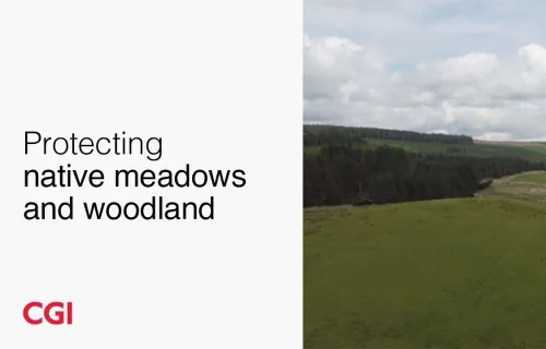 Protecting meadows and native woodland 