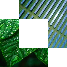 ai-cornerstone-leaves and pattern