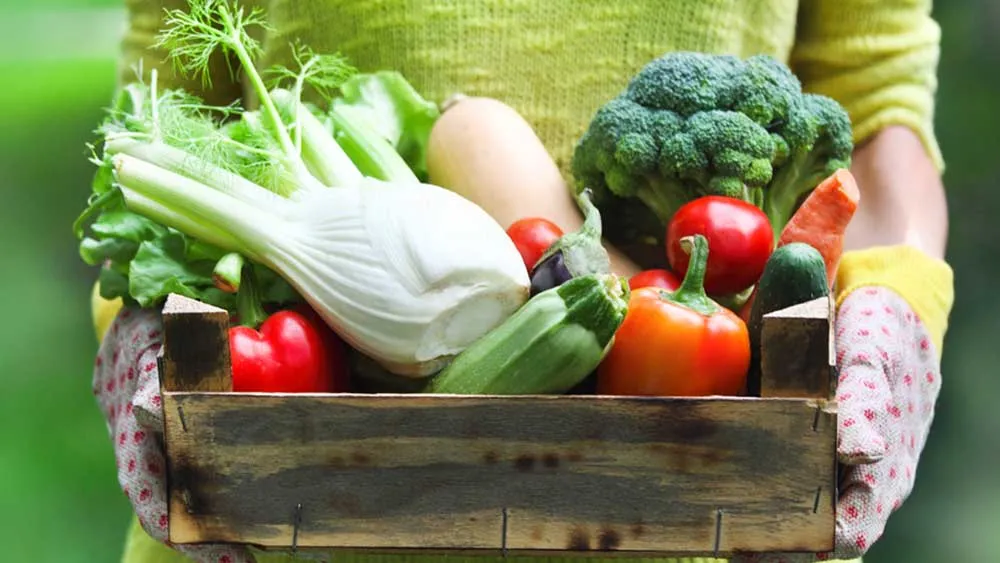 food seasonal produce vegetables