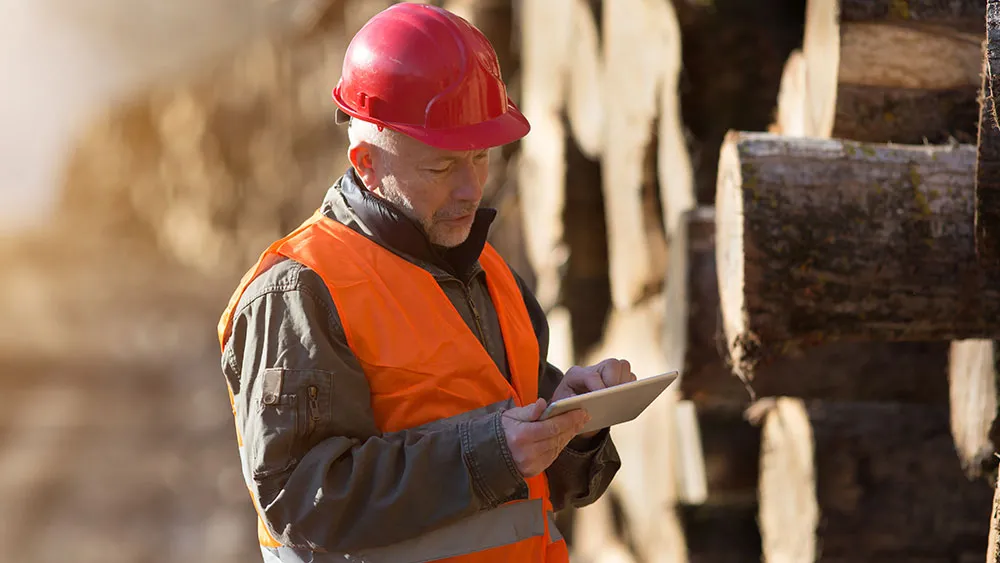 Person in hi-vis jacket and hard hat uses a tablet device next to a pile of logs