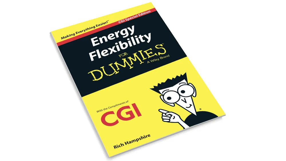 Front cover of the CGI Energy Flexibility for Dummies