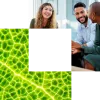 cornerstone with pattern and professionals talking 