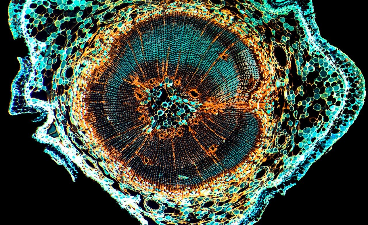 Tekoäly tehostaa lokitietojen valvontaa