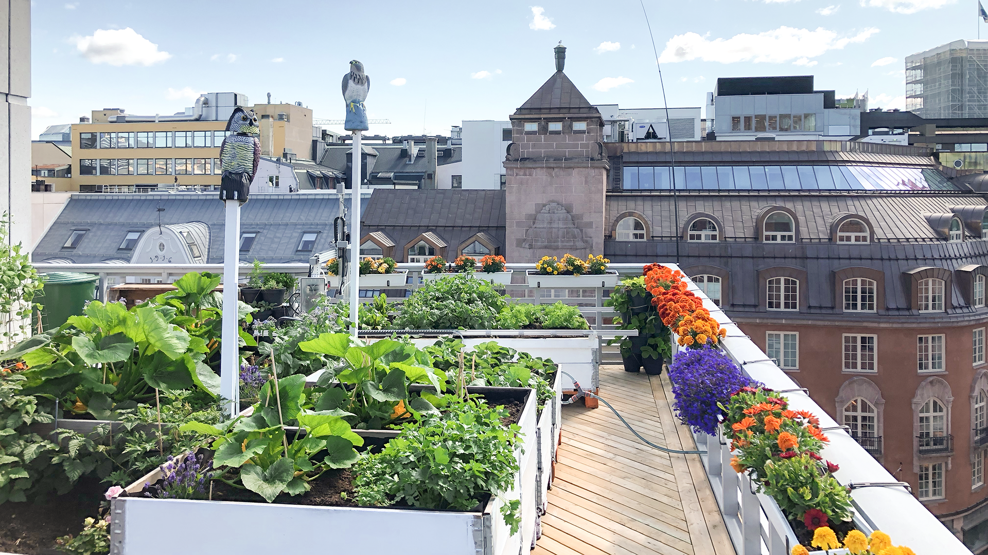 Urban Farm Lab Roof Top Garden Oslo