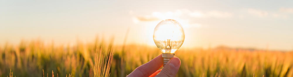 energy innovation concept hand with lightbulb
