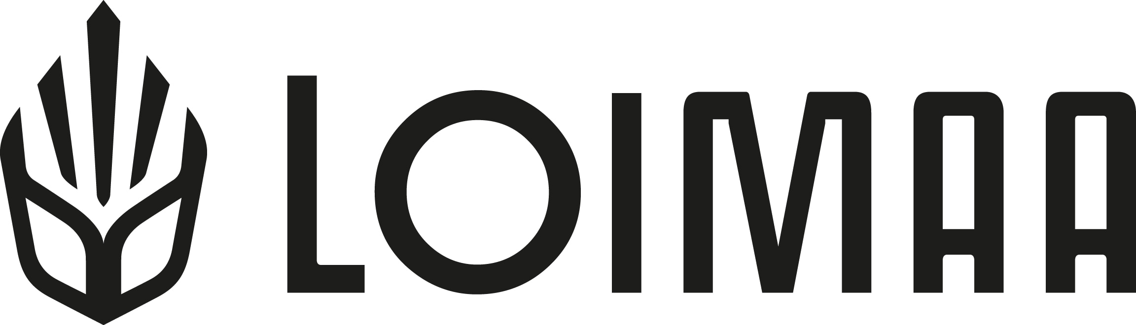 Loimaan kaupunki