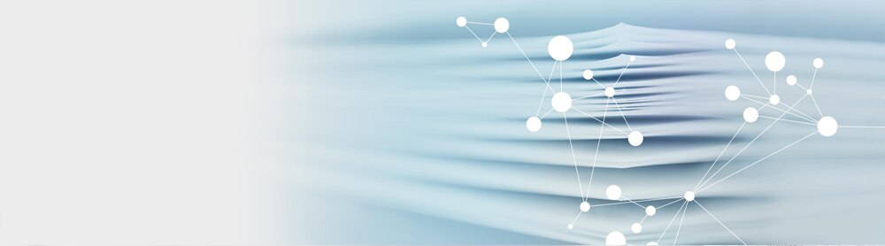 Building an effective strategic function team