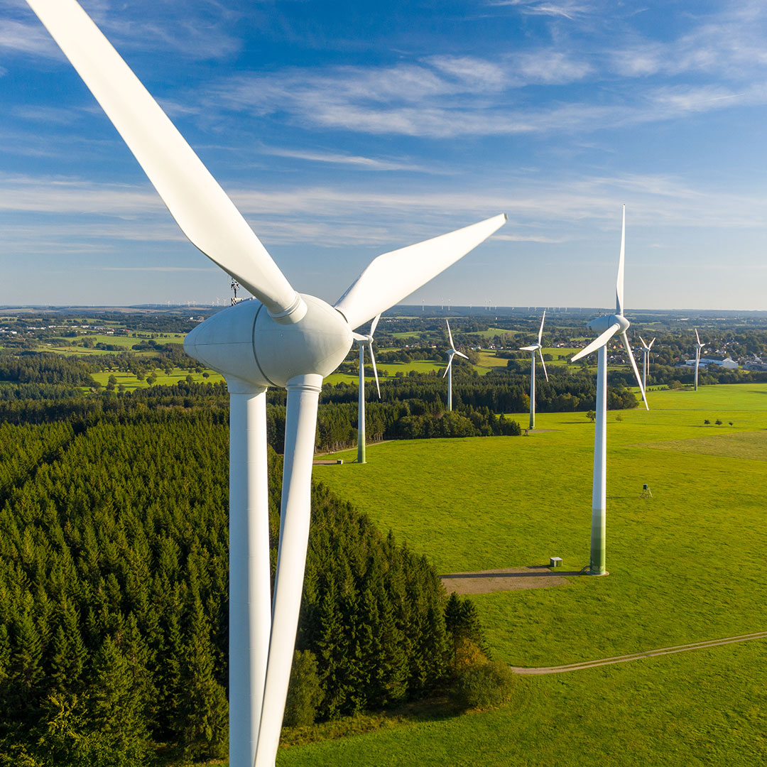 Flera vindkraftverk står i ett grönt landskap med skog och öppna fält under en blå himmel. Bilden visar vindkraft och förnybar energiproduktion.