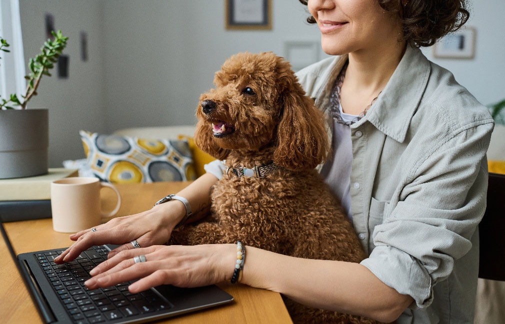 Young owner sitting at table with her dog and doing her online work on laptop