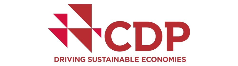 Logo CDP Driving Sustainable Economies Dow Jones Sustainability Indices logo