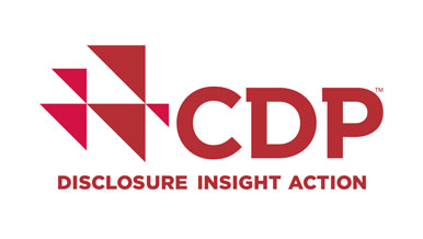CDP Disclosure Insight Action - CSR Responsible business